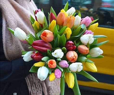 Ramo De Flores Joie De Tulipanes Herbs Barcelona