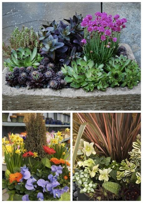 We love going to all seasons! 3 Ways to Build an All-Season Container Garden for Earth ...