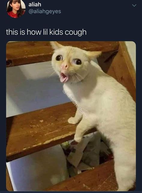 This Is How Little Kids Cough Cat Face