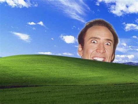 45 Funny Nicolas Cage Wallpaper
