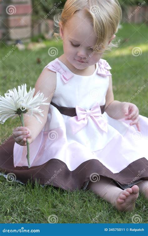 Girl With Flower Stock Image Image Of Childhood Daughter 34575011