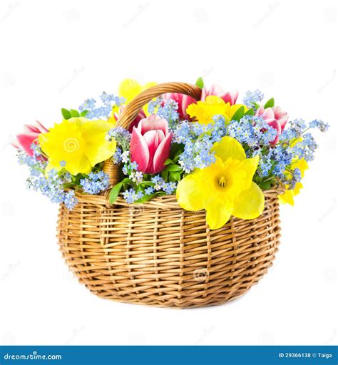 Beautiful Bouquet Of Spring Flowers Into Basket On White Backgr Royalty