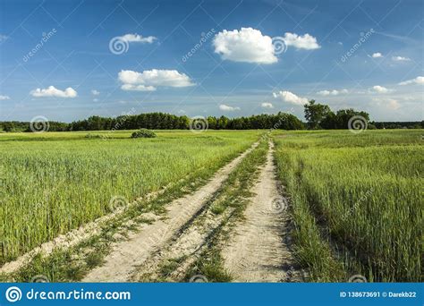 Rural Sandy Road Through Green Fields To The Forest Stock Image Image