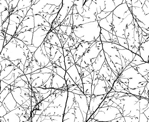 Seamless Texture Of The Branches Nature Stock Photos Creative Market