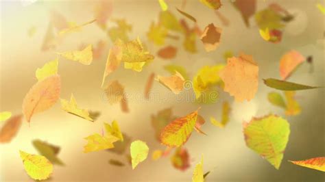Falling Leaves Loopable Background Stock Footage Video Of Blowing