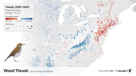 new maps powered by ebird spotlight population increases and declines ebird