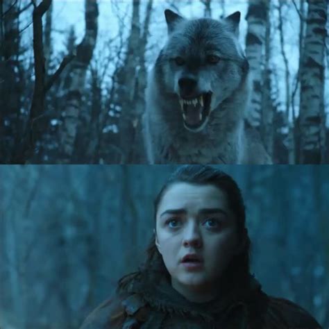 Finally Arya Meets Her Long Lost Dire Wolf Named Nymeria Virily