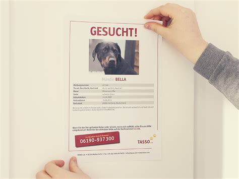 Ordnungsgemäßes anbringen und viele tipp's und. Katze oder Hund vermisst? Das können Sie tun | TASSO