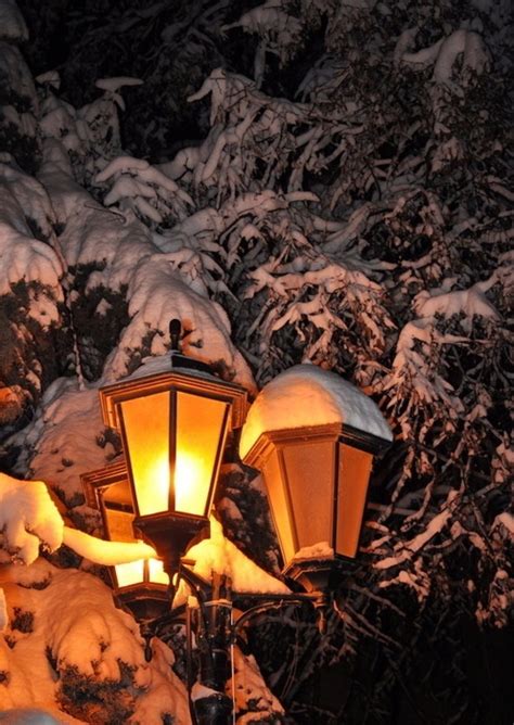 Another Winter Lamp Post With Golden Lights Winter Pictures Winter
