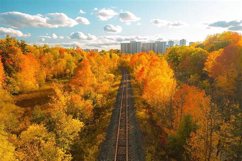 This Is What Fall Colours Look Like In And Around Toronto Right Now