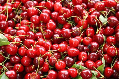 Sour Cherries From Apples To Zucchini Your Seasonal Produce Guide Popsugar Food
