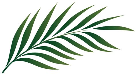 Printable Clip Art Palm Leaf Outline Palm Branch Clipart Clipground