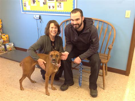 Do You Need A Dog License In Ohio