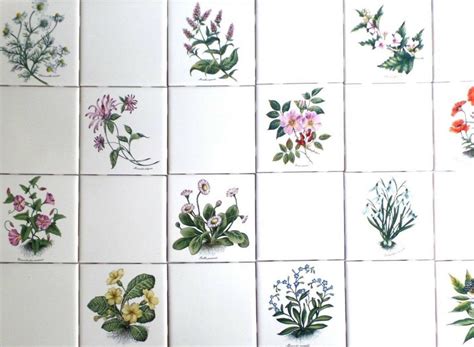Tea Herb Botanical Flower Ceramic Tiles Set Of 6 Of 425 Kiln Fired Back Splash
