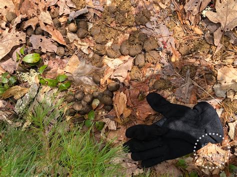 Hike To Soapstone Hill Quabbin Reservoir Stay Sew Creative