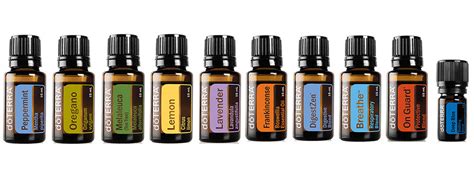 Quick Guide To The Top 10 Must Have Essential Oils