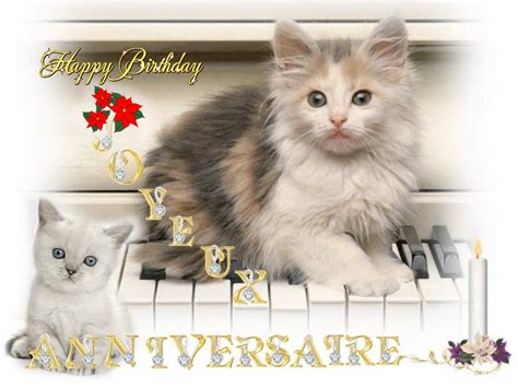 La carte anniversaire est le moyen simple et efficace de souhaiter un bon anniversaire à ses proches dans la joie et la bonne humeur ! style carte anniversaire animee chat