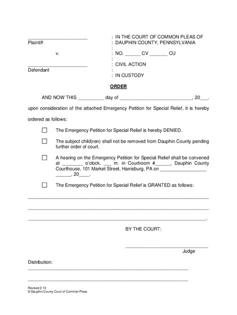 Emergency Child Custody Forms 2020 Fill And Sign Printable Template