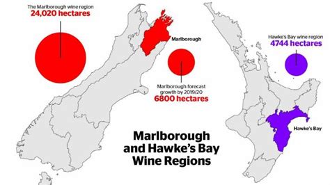 NZ's largest wine region to add size of second largest wine region | Stuff.co.nz