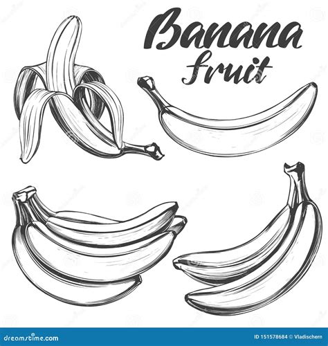 Bananas Fruit Set Hand Drawn Vector Illustration Sketch Stock Vector