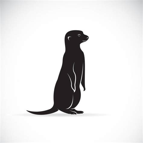 40 Mongoose Logo Stock Illustrations Royalty Free Vector Graphics