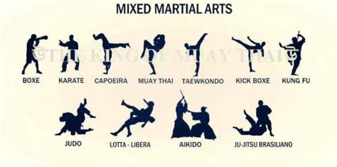 Karate Moves Kick Self Defense