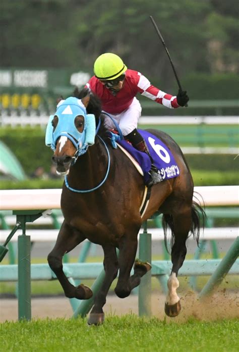 主題歌「piece of my world」のアーティスト「night ravens(ナイトレイブンズ）」の詳細発表! 中山グランドジャンプ（JG1) | Moment日刊ゲンダイ