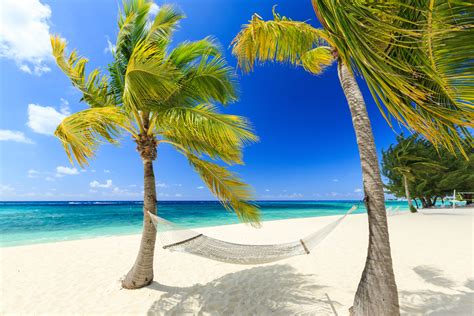 Urlaubsfeeling Die Schönsten Strände Der Karibik