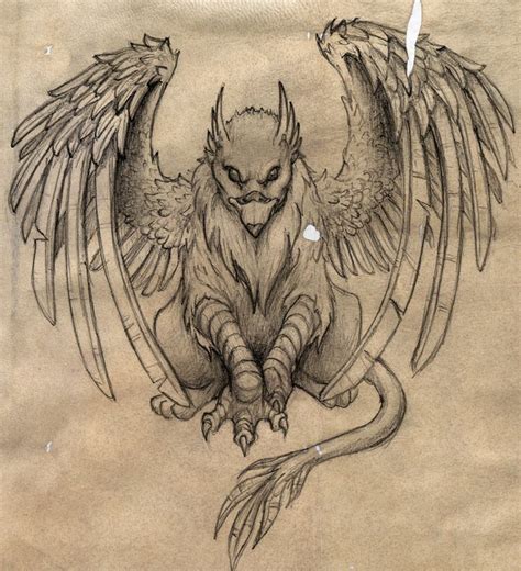 Pin By Max Grant On Tatoo Griffin Tattoo Gryphon Tattoo Animal Drawings