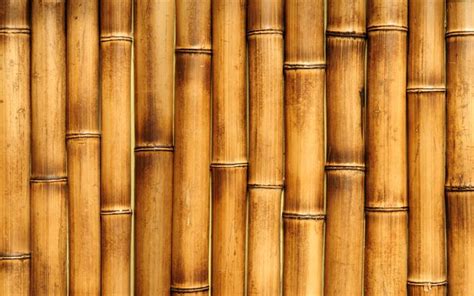 Download Wallpapers Brown Bamboo Texture 4k Macro Bamboo Textures