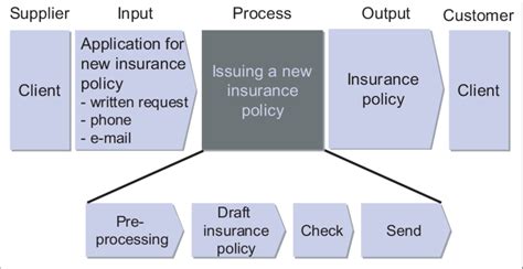 The Process Description Of The Process Of Issuing New Insurance
