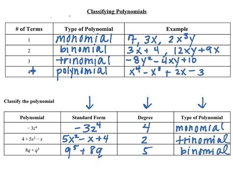 Identifying Polynomials Worksheet
