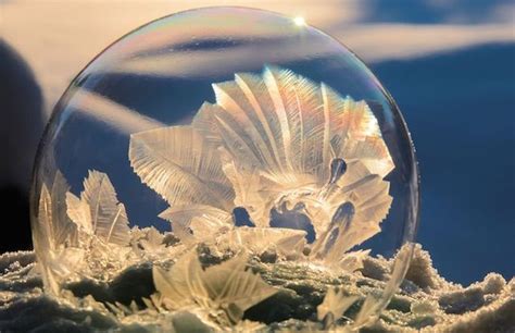 Frozen Bubble Ice Crystals Bulle De Savon Bubble Cristaux De Glace