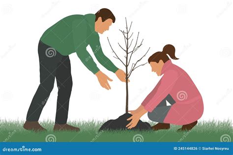 Planting Trees Man And Woman Plant Bare Tree Environmental Care Stock