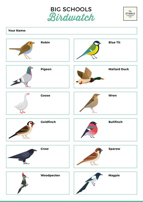 Printable Bird Watching Checklist