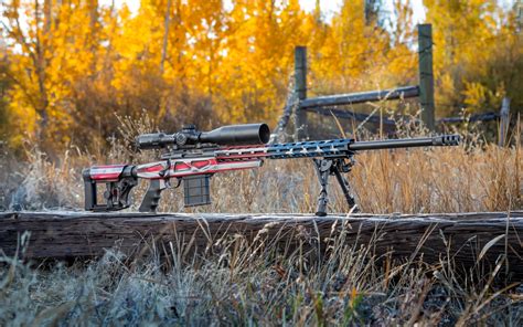 The Howa 1500 Bolt Action Rifle Is Well Worth Its Price The National