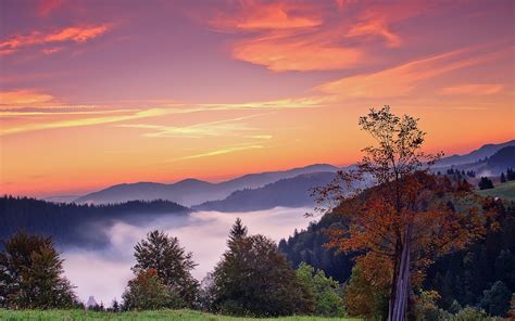 Sunset Mountains Trees Fall Landscape Autumn Fog Sunrise Wallpapers Hd Desktop And