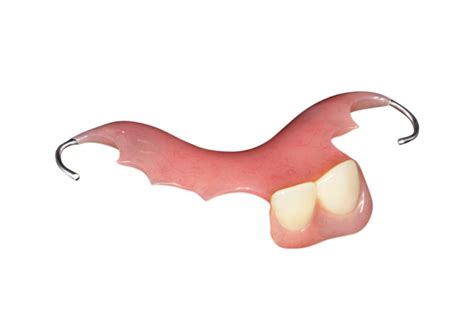 Acrylic Partial Denture Creodent