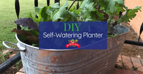 DIY Self Watering Planters