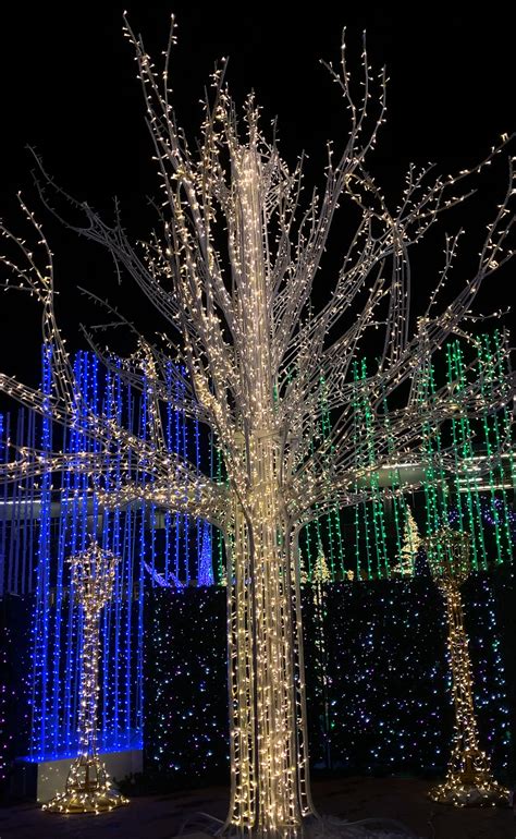 Enchant Nashville Looks To Turn Your Christmas Light Experience Into A