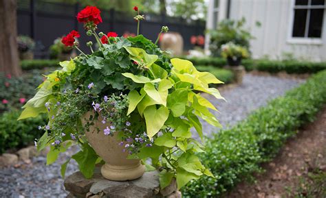 Flower Container Ideas For An Instant Garden