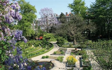 Der hortus botanicus von amsterdam ist einer der ältesten botanischen gärten der welt. Neue Reiseführer Niederlande: Gartenreisen & Geheimtipps ...