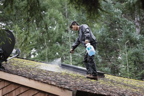Can You Use Wet And Forget On Metal Roofs
