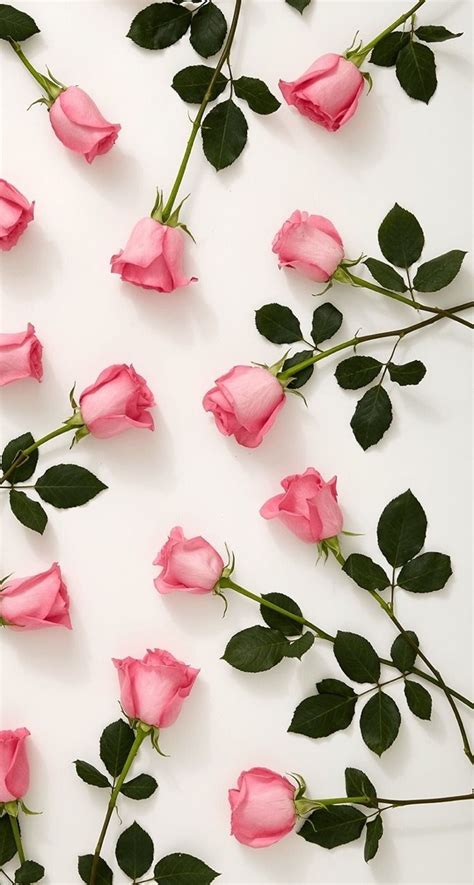 Aesthetic Pink Flower Wallpaper Tumblr Download Free Mock Up