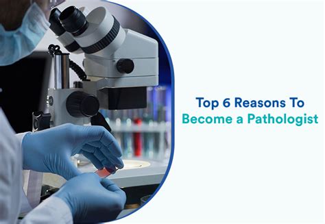 Top 6 Reasons To Become A Pathologist Digital Univers