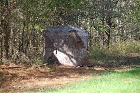 How To Set Up A Ground Blind For Deer Hunting Home Interior Design
