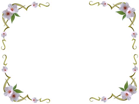 Png Without White Background Transparent Without White Backgroundpng