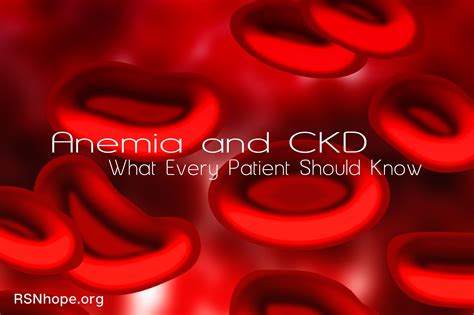 In addition, the production of red blood cells (erythropoiesis) or erythropoietin (a hormone that stimulates red. Anemia and CKD: What Every Patient Should Know | Renal ...