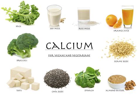 Even though these foods shouldn't be solely relied upon for their calcium content, they're still excellent sources of other nutrients that are healthy. And heres one of all the plant foods highest in calcium ...