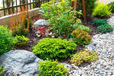 Landscaping Rocks Types And Uses Al Ardh Alkhadra